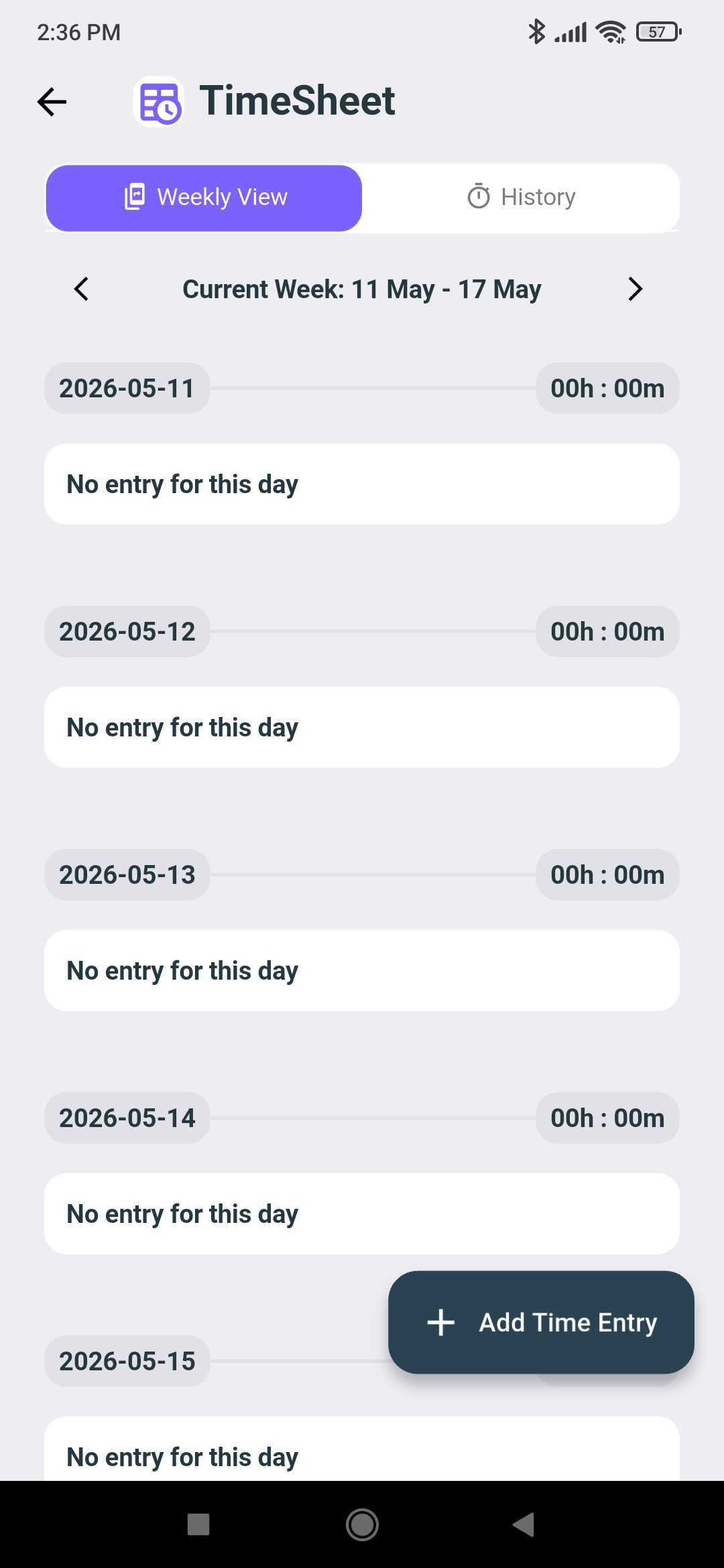 TimeSheet Weekly View listing each day of the current week with the Add Time Entry button