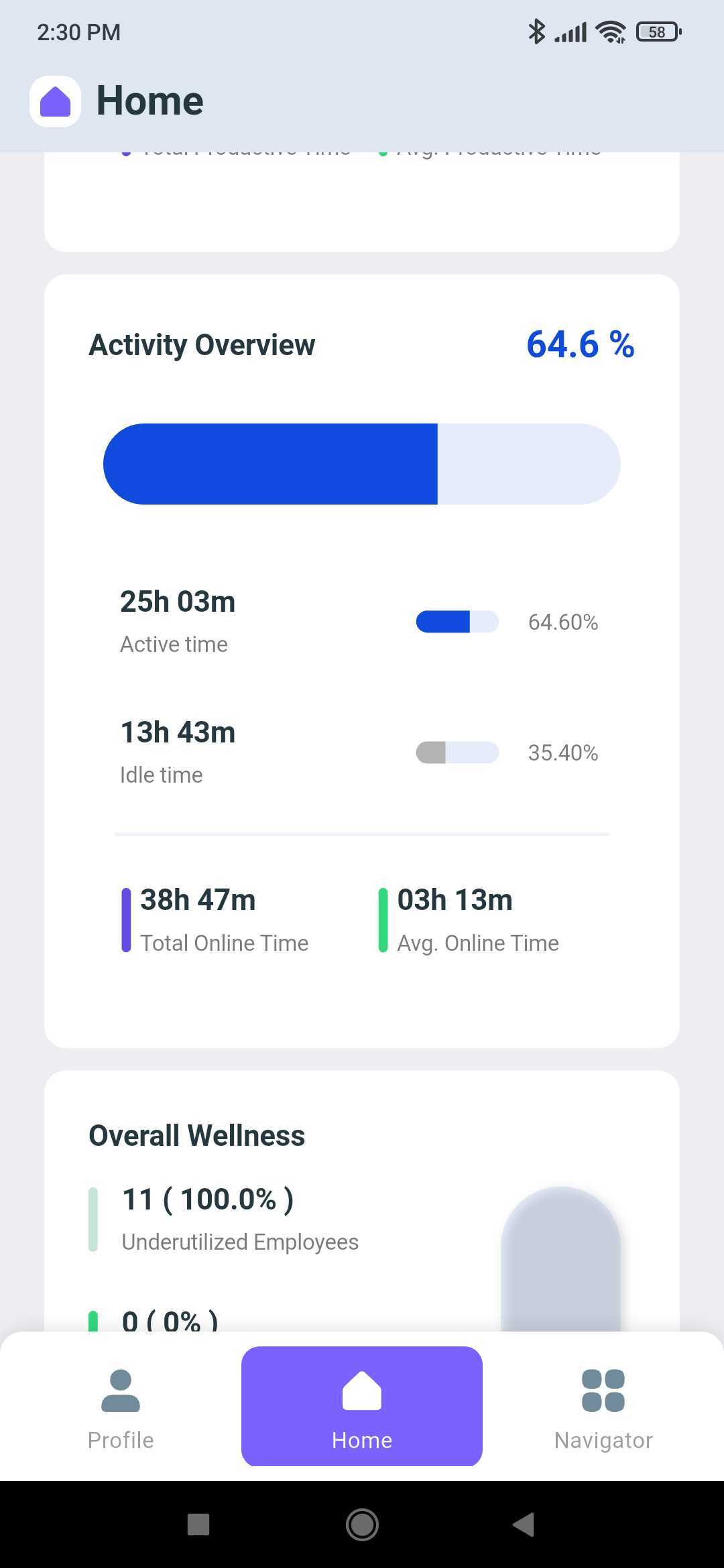 Home tab Activity Overview card showing active time, idle time, and total online time